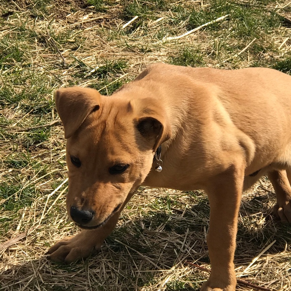 Meet your Posher, Carlos